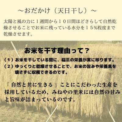 【数量限定】令和6年産　みねやの里米　こしひかり(精米)　5Kg【1459711】