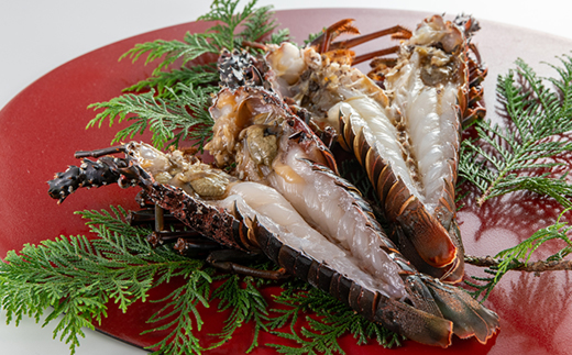 伊勢海老の干物200g×2尾【配送不可地域：離島】【1607616】