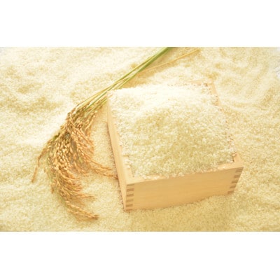 【令和7年産米】千葉県いすみ市産　有機JAS認証コシヒカリ『いすみっこ』　精米4Kg(2Kg×2袋)【1720079】