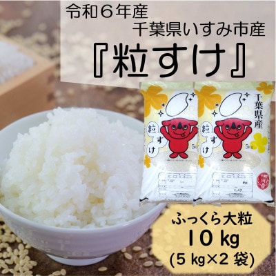 【令和6年産米】　ふっくら大粒　千葉県いすみ市産粒すけ　精米10kg(5kg×2袋)【1546627】