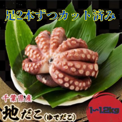 地だこカット(ゆでだこ) 1〜1.2kg【配送不可地域：離島】【1636007】