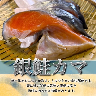 【訳あり】銀鮭カマ(小) 約4kg【配送不可地域：離島】【1588573】