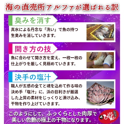 海の直売所アルファ　大人気!さば干物10枚　【配送不可地域：離島】【1262718】