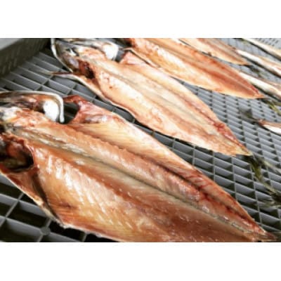 ISUMIんツアー  いすみ市　潮風を感じる!干物作り体験付き大原漁港スタディーツアー【1640577】