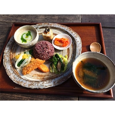 マクロビランチ+いすみ川SUPリバークルーズ体験(2名様)【1072357】