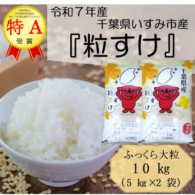 【令和7年産米】特A評価　ふっくら大粒　千葉県いすみ市産粒すけ　精米10kg(5kg×2袋)【1546627】