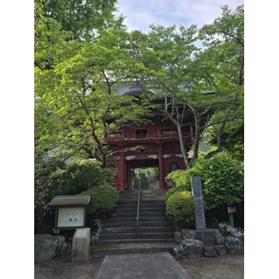 ISUMIããã¢ãŒãããã¿åžæŽå²æ¢èšªãšãã±èå°å·¡ç€Œãã¢ãŒã1640573ã