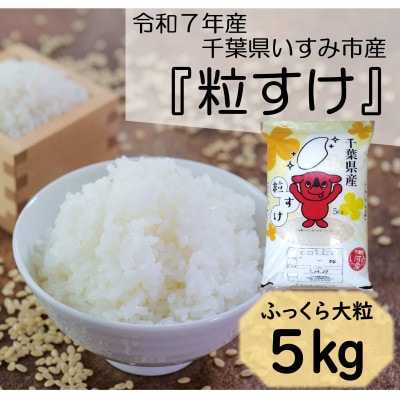 【令和7年産米】　ふっくら大粒　千葉県いすみ市産粒すけ　精米5kg【1546628】
