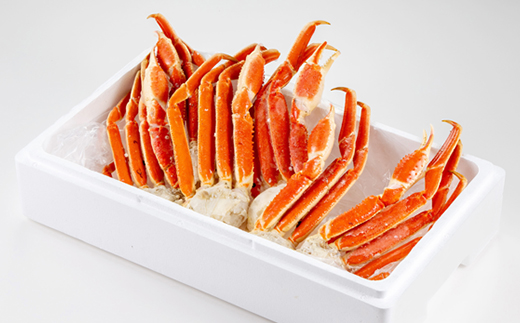 險ウ繧「繝ェ繝懊う繝ォ譛ャ繧コ繝ッ繧、繧ャ繝玖か 1.3kg縲宣埼∽ク榊庄蝨ー蝓滂シ夐屬蟲カ縲代1607630縲