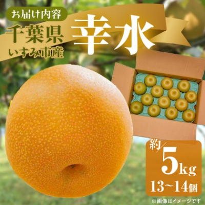 縲2026蟷エ逋コ騾∝郁。悟女莉倥代>縺吶∩蟶ら肇蟷ク豌エ譴ィ縲邏5kg(13縲14蛟)縲1462339縲