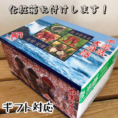 太東・大原産真蛸　茹でたこ足　280g×3【配送不可地域：離島】【1276166】