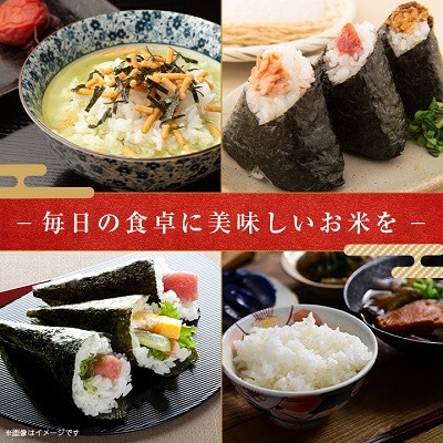 【発送月固定定期便】千葉県いすみ市産コシヒカリ 10kg(5kg×2袋)全6回【4074484】