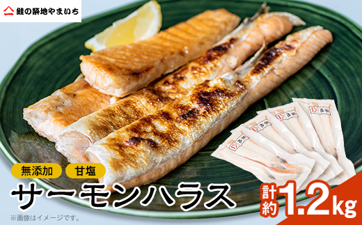 無添加 甘塩サーモンハラス 1.2kg[300g×4パック]【配送不可地域：離島】【1514247】