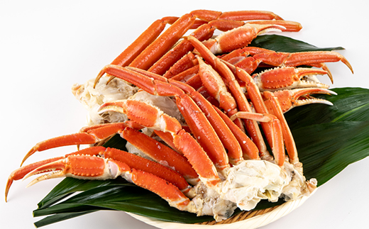 險ウ繧「繝ェ繝懊う繝ォ譛ャ繧コ繝ッ繧、繧ャ繝玖か 1.3kg縲宣埼∽ク榊庄蝨ー蝓滂シ夐屬蟲カ縲代1607630縲