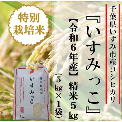 【令和6年産米】千葉県いすみ市産特別栽培米コシヒカリ『いすみっこ』精米5kg(5kg×1袋)【1546632】