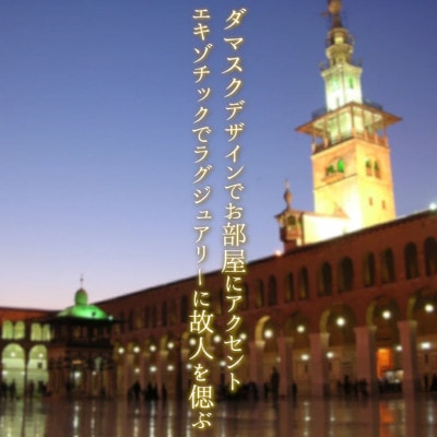 ã«ã«ãããŒãžã¥è±åšã®ä»è±ã¢ã¬ã³ãž(äžå¯Ÿ)ãšåçããŠã(ããã¹ã¯æ)ã1395499ã