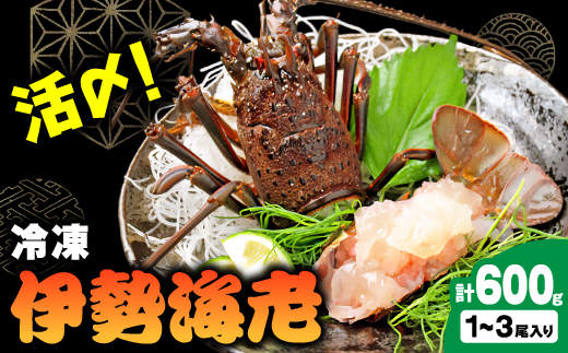 活〆冷凍伊勢海老600g【配送不可地域：離島】【1607625】