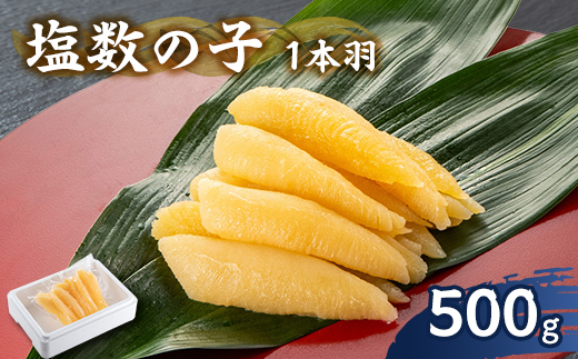 å¡©æ°ã®å 500g 1æ¬çŸœãé
éäžå¯å°åïŒé¢å³¶ãã1607570ã