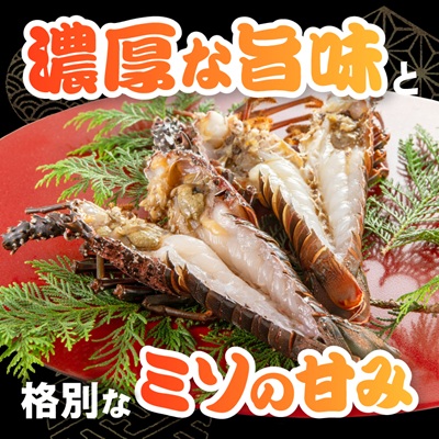 伊勢海老の干物200g×2尾【配送不可地域：離島】【1607616】