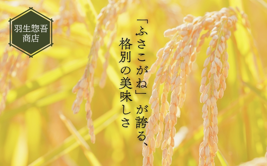 《令和7年産米・先行予約》創業百年・老舗米屋 羽生惣吾商店 千葉県産ふさこがね 精米 5kg 10月発送 【お米 ふさこがね 精米 令和7年産】（千葉県神崎町）[026-a002]