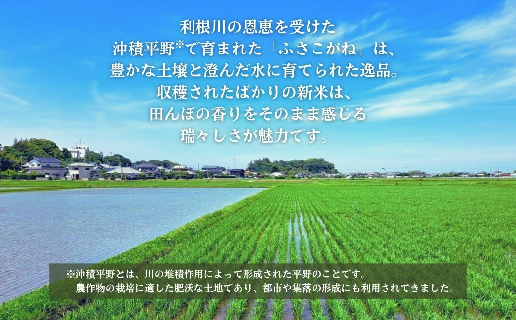 《令和7年産米・先行予約》創業百年・老舗米屋 羽生惣吾商店 千葉県産ふさこがね 精米 5kg 10月発送 【お米 ふさこがね 精米 令和7年産】（千葉県神崎町）[026-a002]