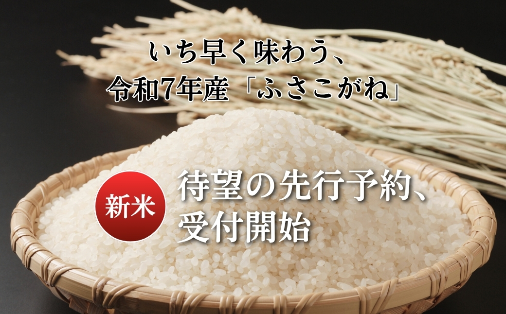 《令和7年産米・先行予約》創業百年・老舗米屋 羽生惣吾商店 千葉県産ふさこがね 精米 10kg 9月発送 【お米 ふさこがね 精米 令和7年産】（千葉県神崎町）[026-a005]