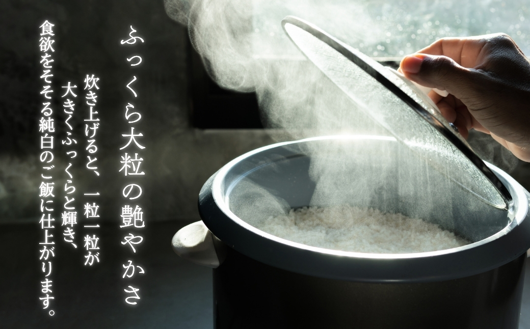 《令和7年産米・先行予約》創業百年・老舗米屋 羽生惣吾商店 千葉県産ふさこがね 精米 10kg 定期便3回【お米 ふさこがね 精米 令和7年産】（千葉県神崎町）[026-a010]