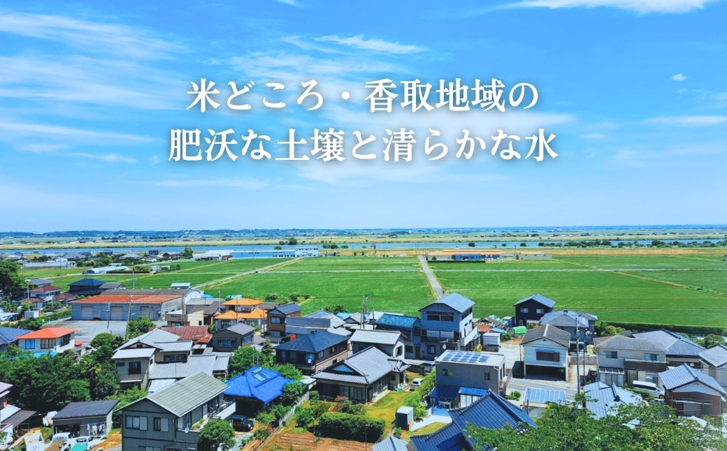 《令和7年産米・先行予約》創業百年・老舗米屋 羽生惣吾商店 千葉県産ふさこがね 精米 10kg 定期便3回【お米 ふさこがね 精米 令和7年産】（千葉県神崎町）[026-a010]