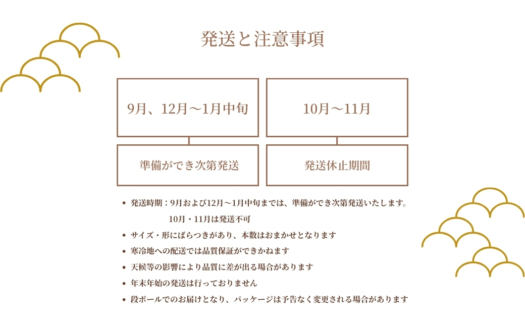 ＼焼き芋も天ぷらもおまかせ！／神崎町産べにあずま 洗い さつまいも 3kg｜ホクホク甘い万能タイプ（9月・12月〜1月中旬に順次発送）[016-a003]【千葉県神崎町ふるさと納税】