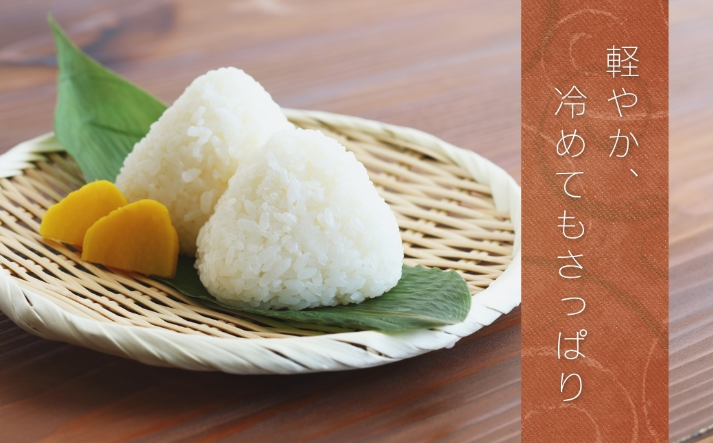 JAかとり直送 お米ふさおとめ 精米10kg（5kg×2） 千葉県神崎町産 令和7年産【千葉県神崎町ふるさと納税】