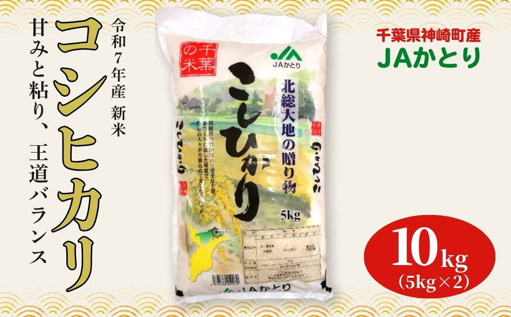 JAかとり直送 新米コシヒカリ 精米10kg(5kg×2)千葉県産 令和7年産 神崎町[千葉県神崎町ふるさと納税]