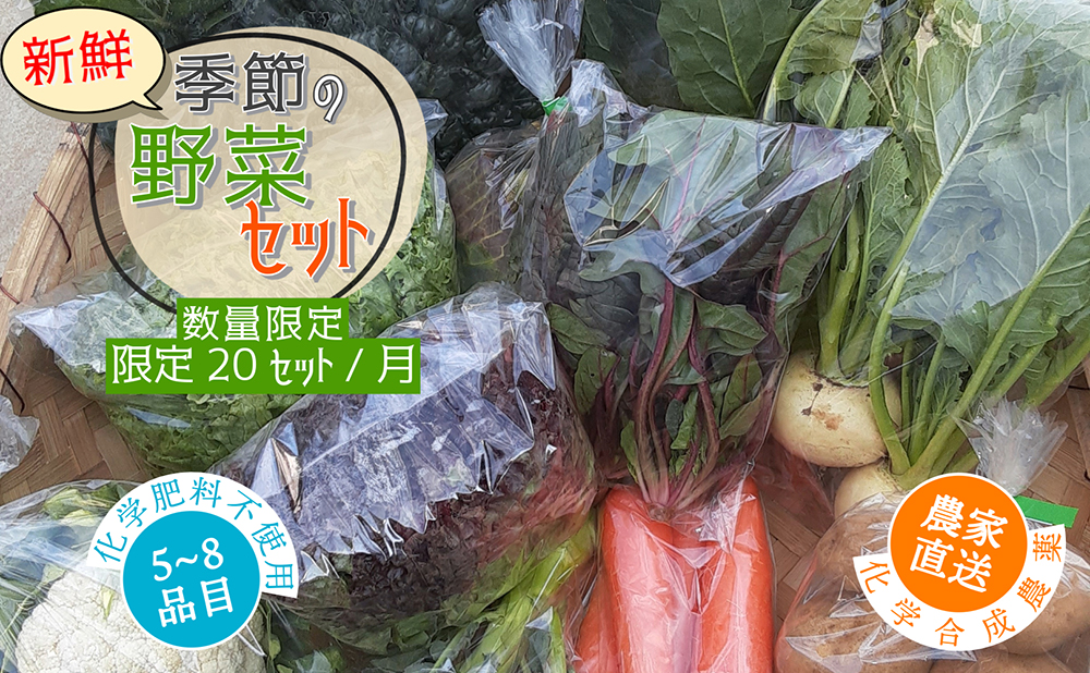 【数量限定】すが農園の季節の野菜セット（5～8品目）[023-a001]【千葉県神崎町ふるさと納税】