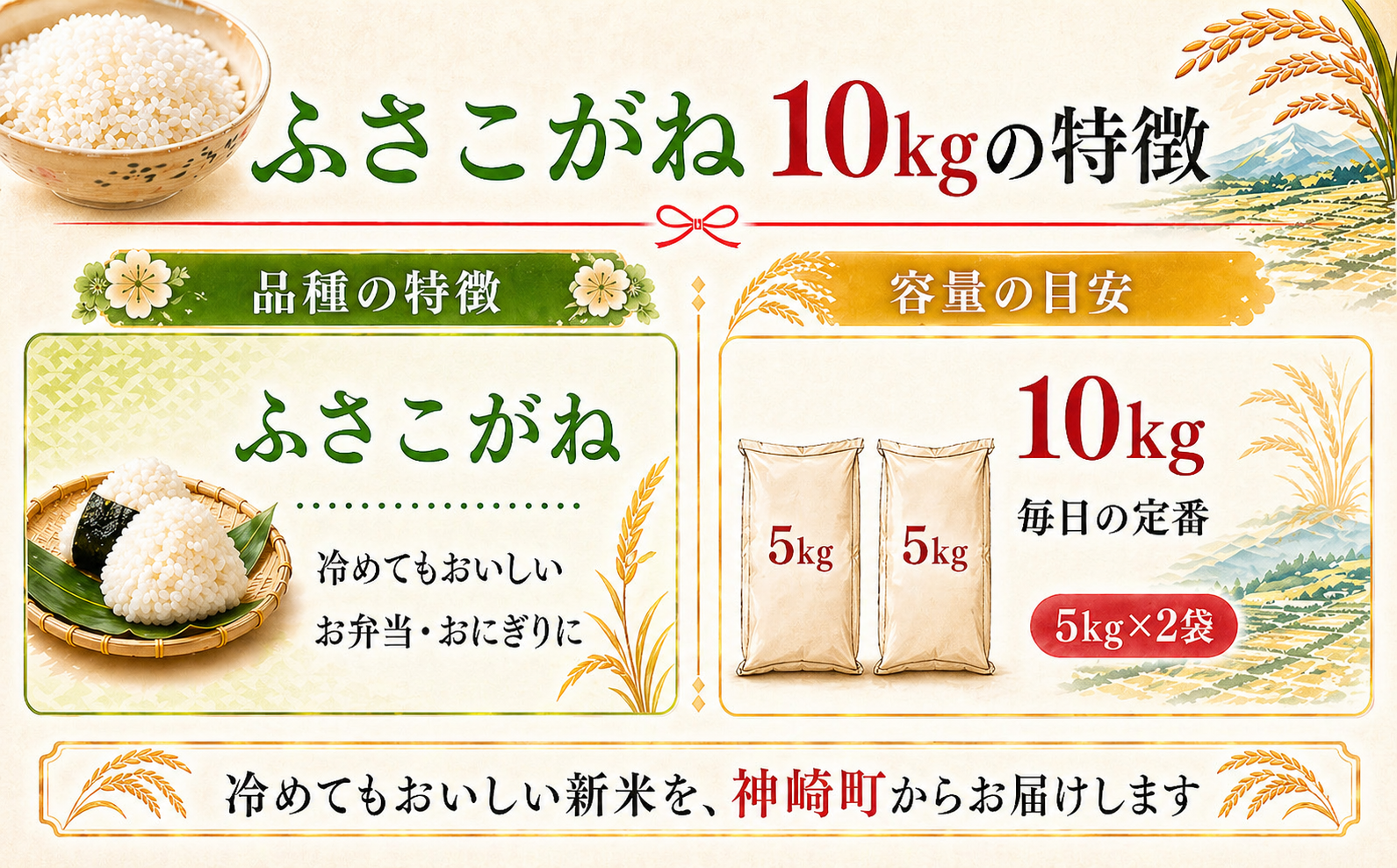 【ふるさと納税】【令和8年産 新米先行予約】米 10kg 千葉県神崎町産 ふさこがね 白米（5kg×2袋） 早場米 冷めてもおいしい お弁当 おにぎり 家庭用 定番[025-a015]