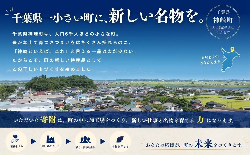 こぼれ蜜干しいも 100g 千葉県神崎町産べにはるか100% じっくり熟成さつまいも使用 砂糖不使用 無着色 [030-a001]