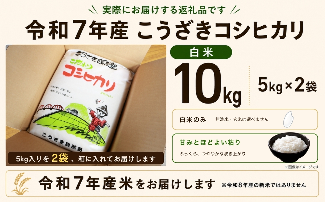 【数量限定】米 10kg コシヒカリ 令和7年産 白米 5kg×2袋 千葉県神崎町産 ちばエコ農産物認証 単一原料米 検査1等米注文後精米 栽培期間中化学肥料不使用 こうざき自然塾 お米 こめ 送料無料 [014-a037]