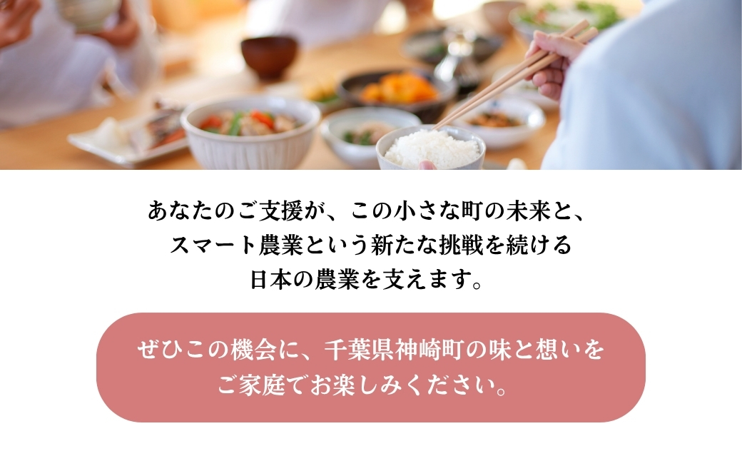《先行予約・令和7年産米》千葉県神崎町産ふさおとめ・ふさこがね食べ比べセット 5kg×各1袋 ｜早場米産地のお米を食卓へ｜9月以降順次発送予定｜数量限定【精米 米 お米 お米 白米 ご飯 白ごはん 弁当 5キロ 10キロ 20キロ 千葉県 神崎町 ふるさと納税】 [025-a005]
