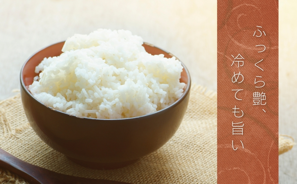 JAかとり直送 コシヒカリ 精米20kg（5kg×4）千葉県産 令和7年産 神崎町【千葉県神崎町ふるさと納税】