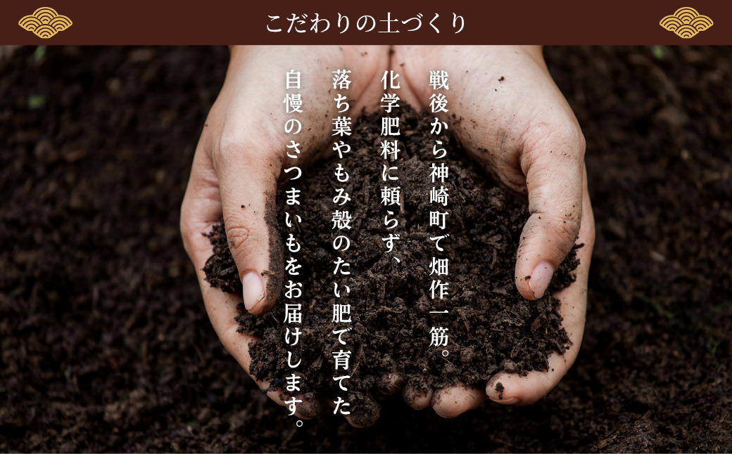＜先行予約＞ 神崎町産 べにはるか さつまいも 3kg【土付き・M～Sサイズ混合】(5～12月受付分は翌年1月中旬以降発送)｜さつま芋 焼き芋 焼きいも イモ 芋 紅はるか 訳アリ しっとり 濃厚 蜜 スイートポテト にも ファームおせげん [016-a007]