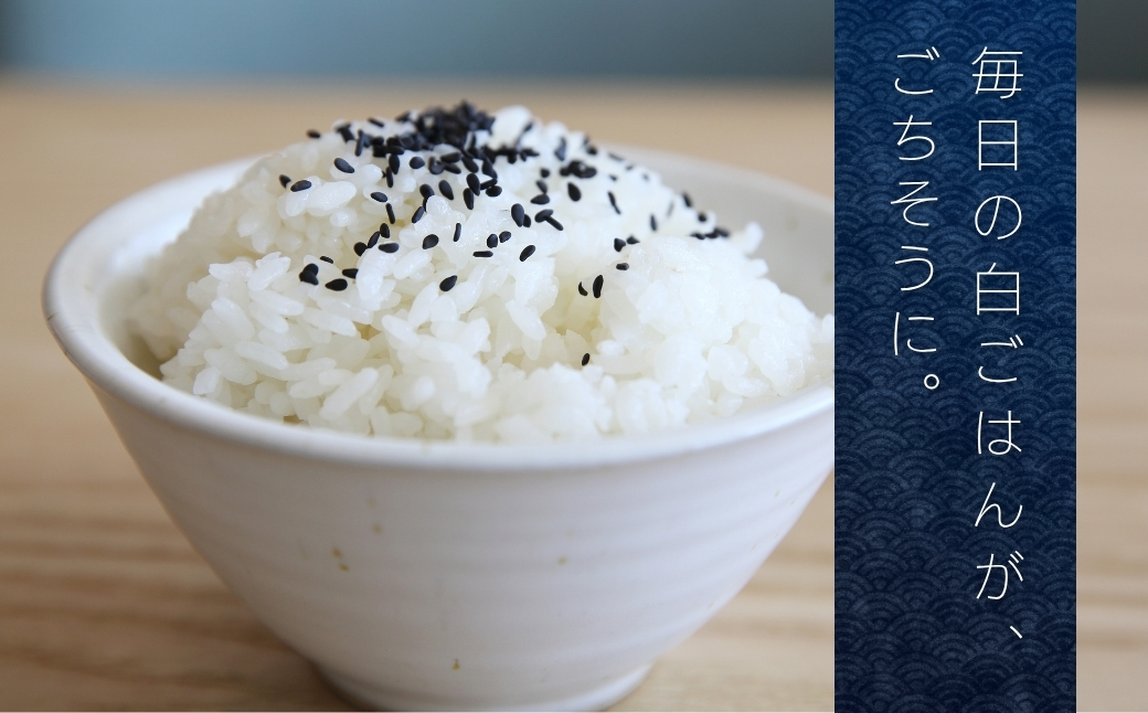 JAかとり直送 コシヒカリ 精米10kg（5kg×2）千葉県産 令和7年産 神崎町【千葉県神崎町ふるさと納税】