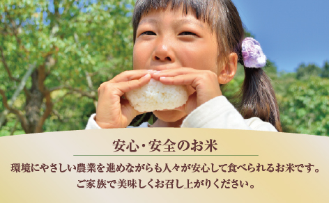 JAかとり直送 コシヒカリ 精米20kg（5kg×4）千葉県産 令和7年産 神崎町【千葉県神崎町ふるさと納税】