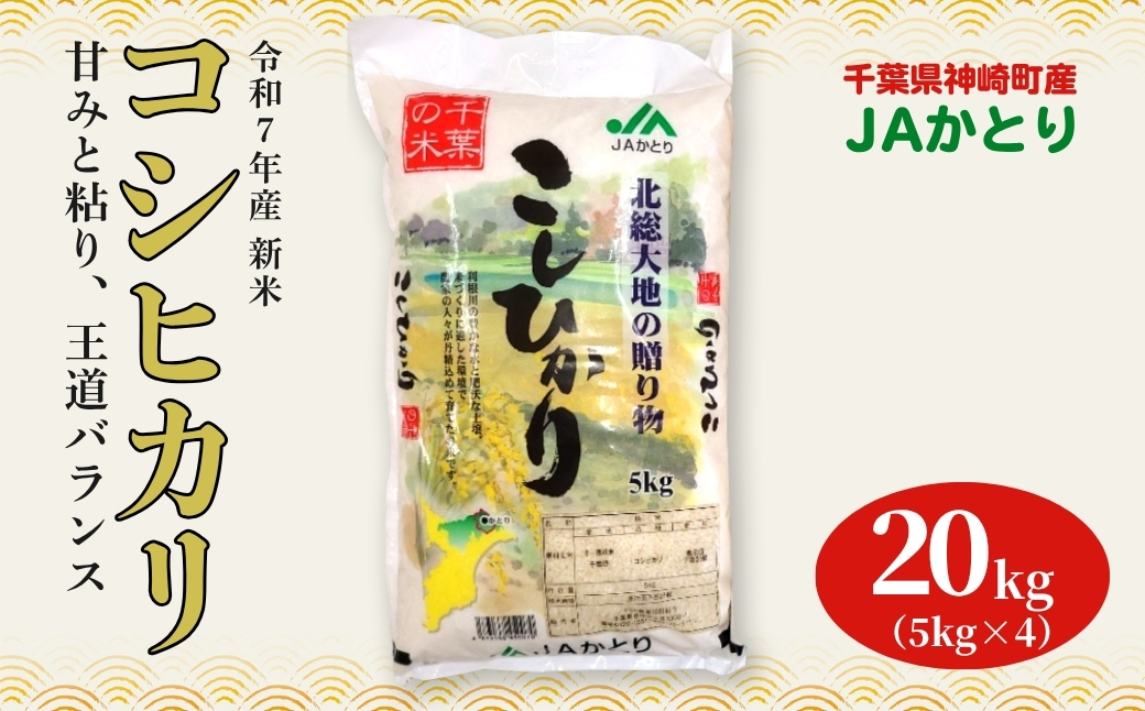 JAかとり直送 新米コシヒカリ 精米20kg（5kg×4）千葉県産 令和7年産 神崎町【千葉県神崎町ふるさと納税】