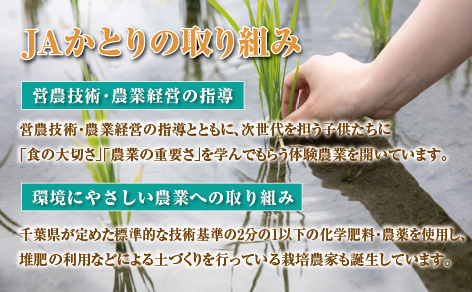 JAかとり直送 コシヒカリ 精米20kg（5kg×4）千葉県産 令和7年産 神崎町【千葉県神崎町ふるさと納税】