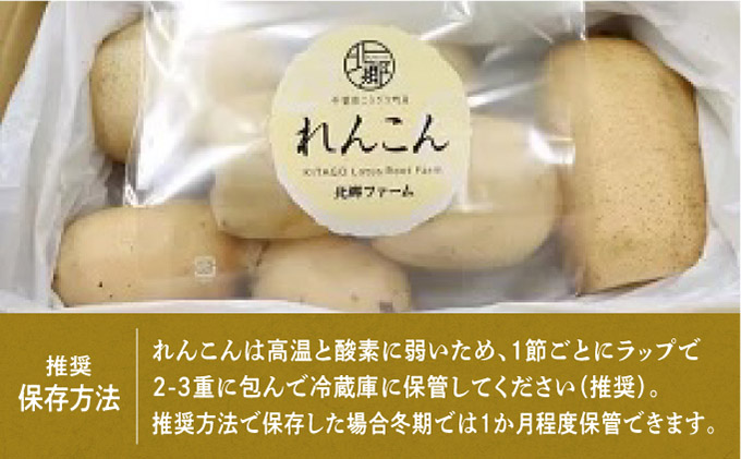 千葉県れんこん部門注文数最上位達成！【訳あり】無選別 神崎町ふるさと れんこん（4kg）[013-a002]【千葉県神崎町ふるさと納税】