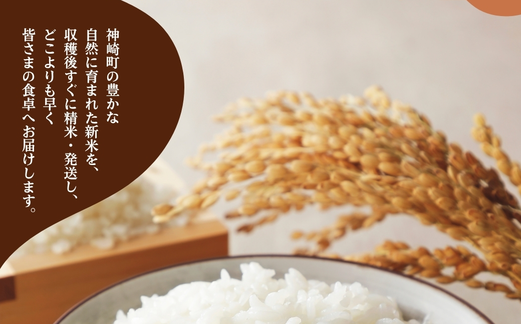 《先行予約・令和7年産米》千葉県神崎町産ふさおとめ・ふさこがね食べ比べセット 5kg×各1袋 ｜早場米産地のお米を食卓へ｜9月以降順次発送予定｜数量限定【精米 米 お米 お米 白米 ご飯 白ごはん 弁当 5キロ 10キロ 20キロ 千葉県 神崎町 ふるさと納税】 [025-a005]