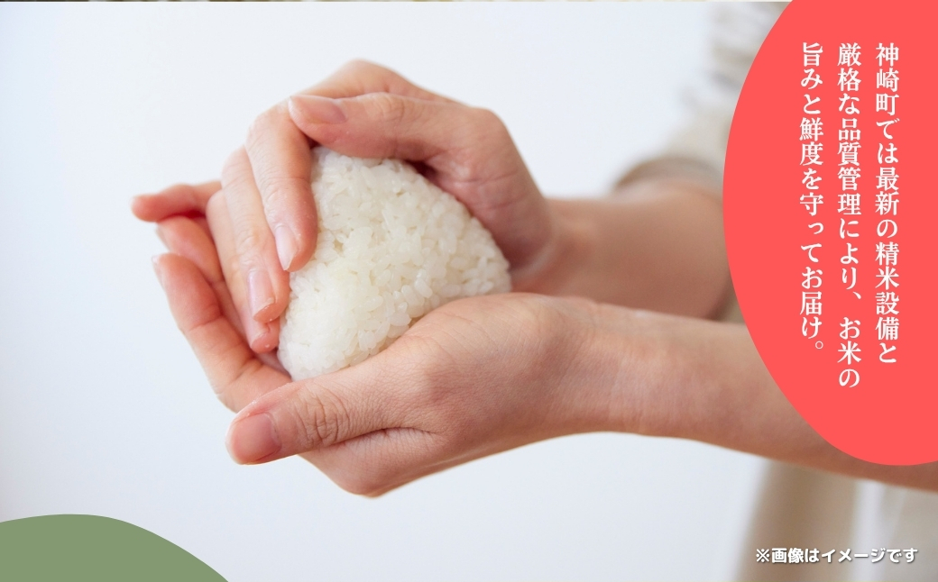 《先行予約・令和7年産米》千葉県神崎町産ふさおとめ・ふさこがね食べ比べセット 5kg×各1袋 ｜早場米産地のお米を食卓へ｜9月以降順次発送予定｜数量限定【精米 米 お米 お米 白米 ご飯 白ごはん 弁当 5キロ 10キロ 20キロ 千葉県 神崎町 ふるさと納税】 [025-a005]