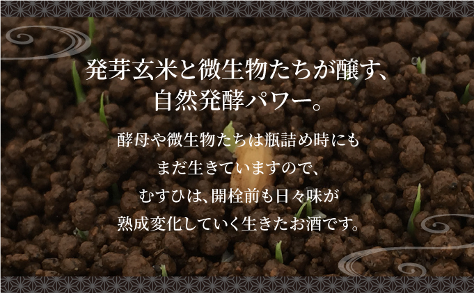 発芽玄米酒 むすひ 720ml[007-a010]【千葉県神崎町ふるさと納税】