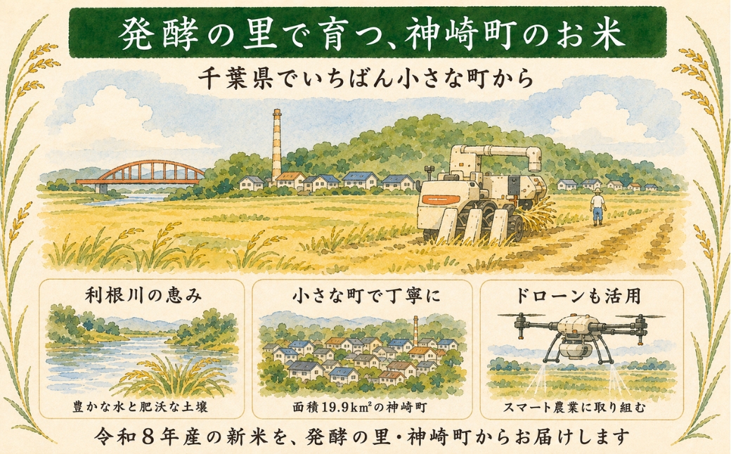 ＼令和8年産 新米 9月上旬発送予定／ 米 10kg 千葉県神崎町産 ふさおとめ 白米（5kg×2袋） 早場米 あっさり 食べやすい 家庭用 定番  [025-a021]
