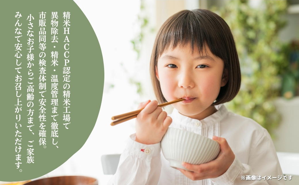 《先行予約・令和7年産米》千葉県神崎町産ふさおとめ10kg（5kg×2袋）｜早場米産地のお米を食卓へ｜9月以降順次発送予定｜数量限定【精米 米 お米 お米 白米 ご飯 白ごはん 弁当 5キロ 10キロ 20キロ 千葉県 神崎町 ふるさと納税】 [025-a001]