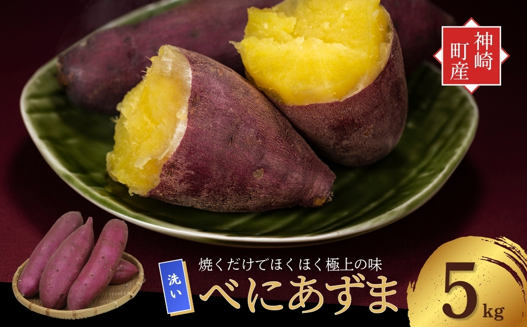 ＼焼き芋も天ぷらもおまかせ！／神崎町産べにあずま 洗い さつまいも 5kg｜ホクホク甘い万能タイプ（9月・10月・1月～5月に順次発送）[016-a004]【千葉県神崎町ふるさと納税】
