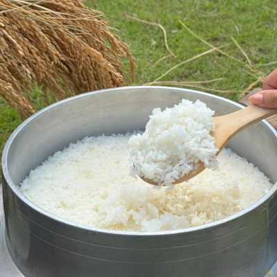 多古米セレクション　萩原佐千穂さんの多古米コシヒカリ　精米10kg　令和7年産【配送不可地域：離島】【1654402】